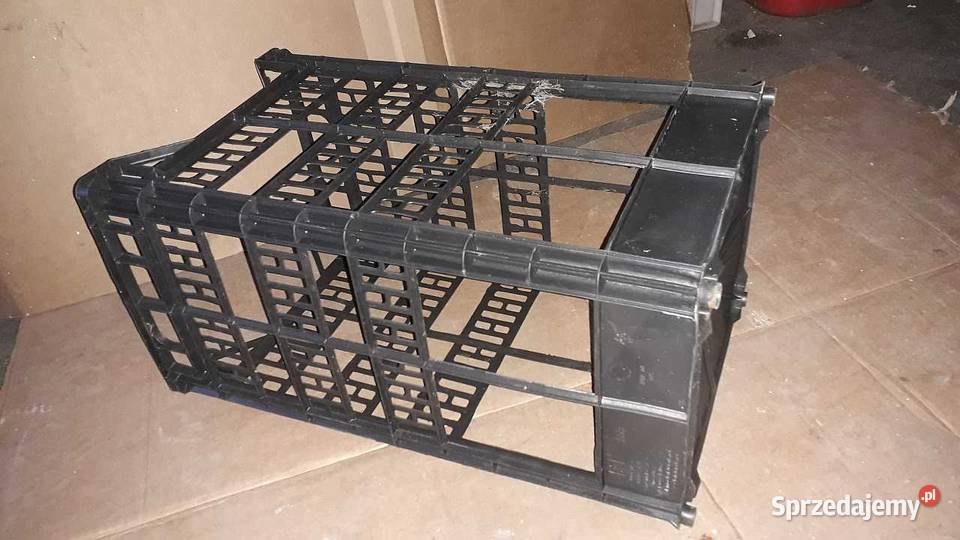 skrzynki plastikowe na pomidory cebulę koper pomorskie