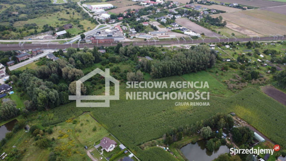 Działka Pszczółki 8228m2