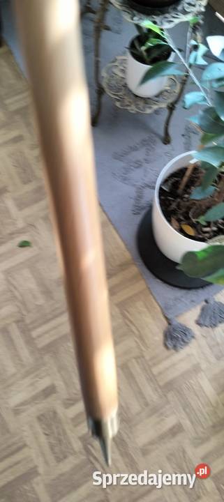 kolekcja starych lasek Ełk