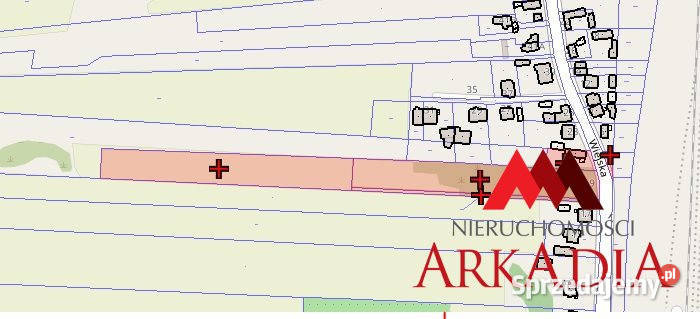 Działka 10438m2 Czerniewice kujawsko-pomorskie sprzedam