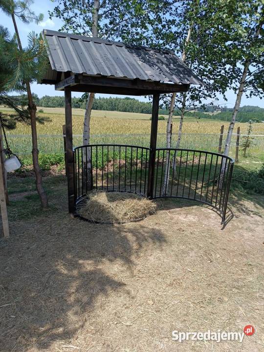 Paśnik koni Konie Radomsko