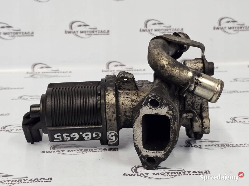 OPEL FIAT 13 CDTI 263A2000 zawór EGR 53446103 świętokrzyskie