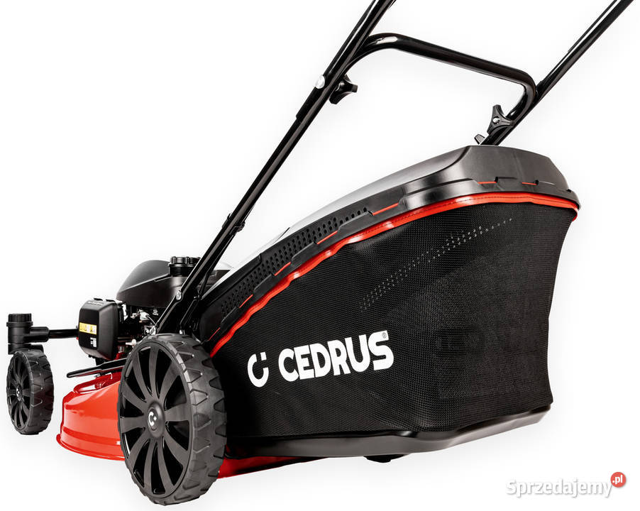 CEDRUS KS51SHZT HONDA KOSIARKA SPALINOWA DO Opalenica