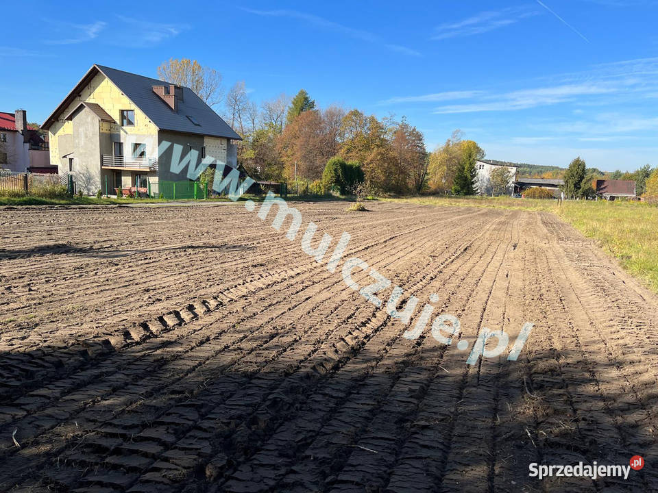 Mulczer leśny wgłębny powierzchniowy Karczowanie Sułkowice