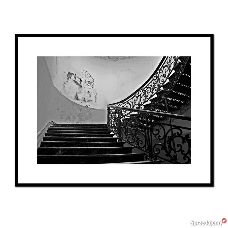 Fioritura 1 fotografia autorska pomorskie Malbork sprzedam