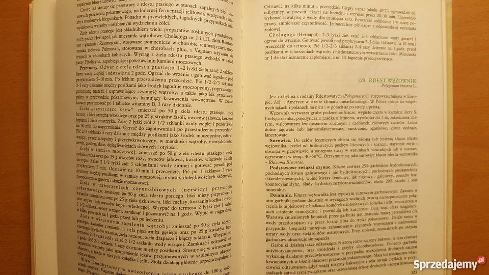KSIĄŻKA Rośliny lecznicze i ich praktyczne Złotniki