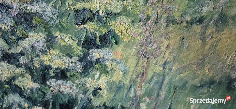 Biały bez i dzika róża Gniezno sprzedam