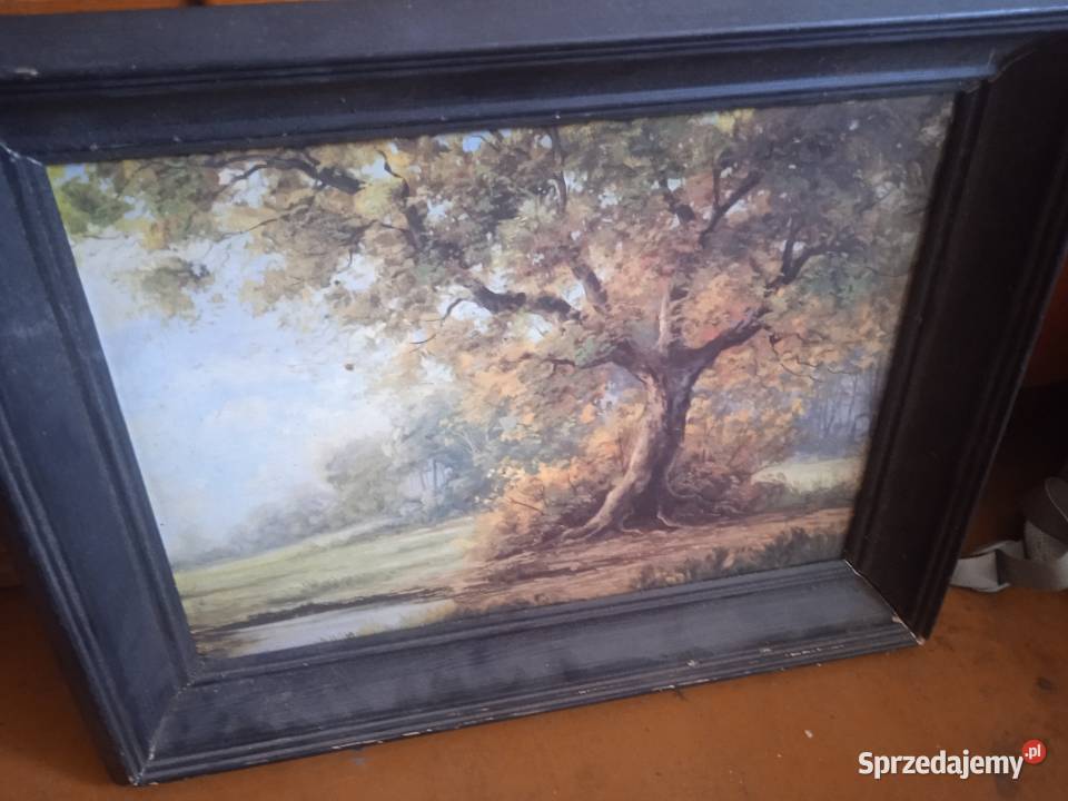 Obraz pt Samotne Drzewo Autora Redici Nowy Sącz