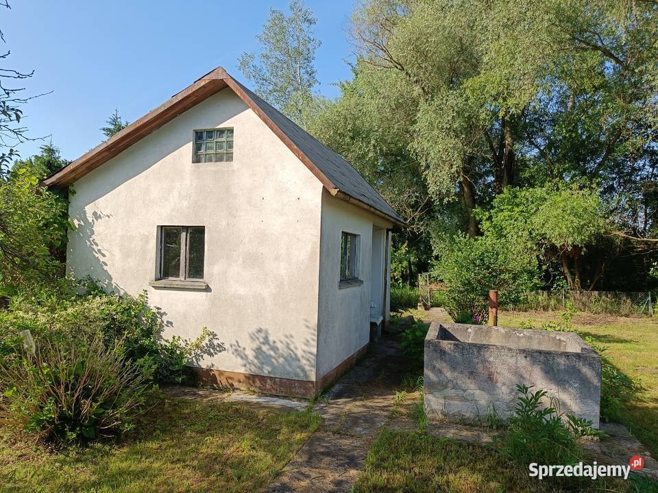 Odstąpię działkę ROD Wojnów Ubocze 350m2 Wrocław