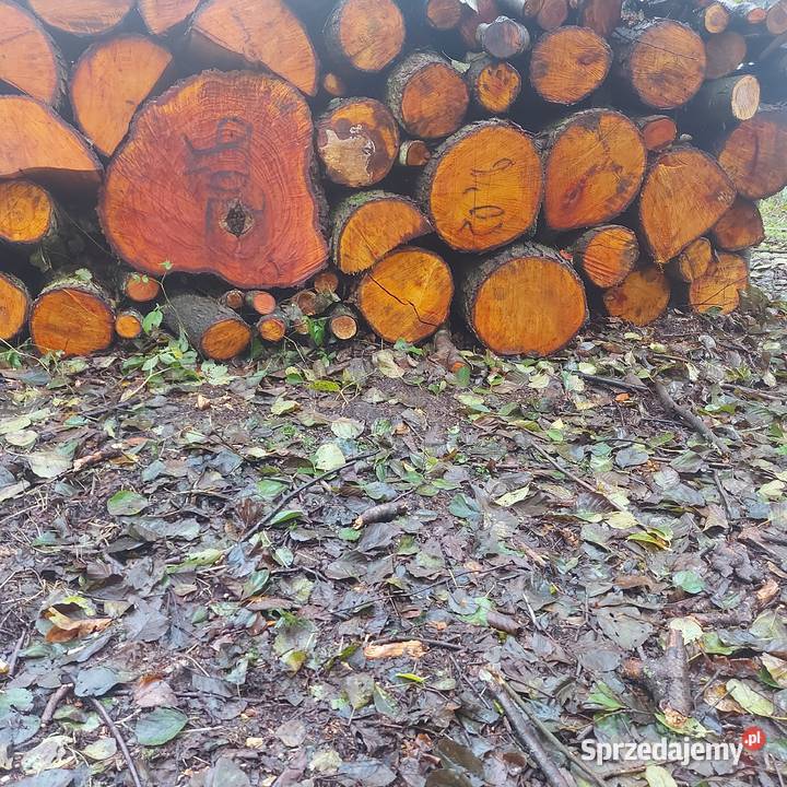 Olcha Kominkowe opalowe do wędzenia