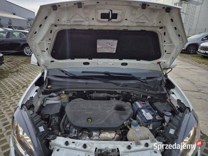 Fiat Doblo Kombi Maxi 16 Diesel 105 290Nm 2020 diesel