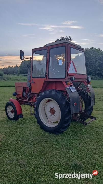 Władimirec t25 Serokomla