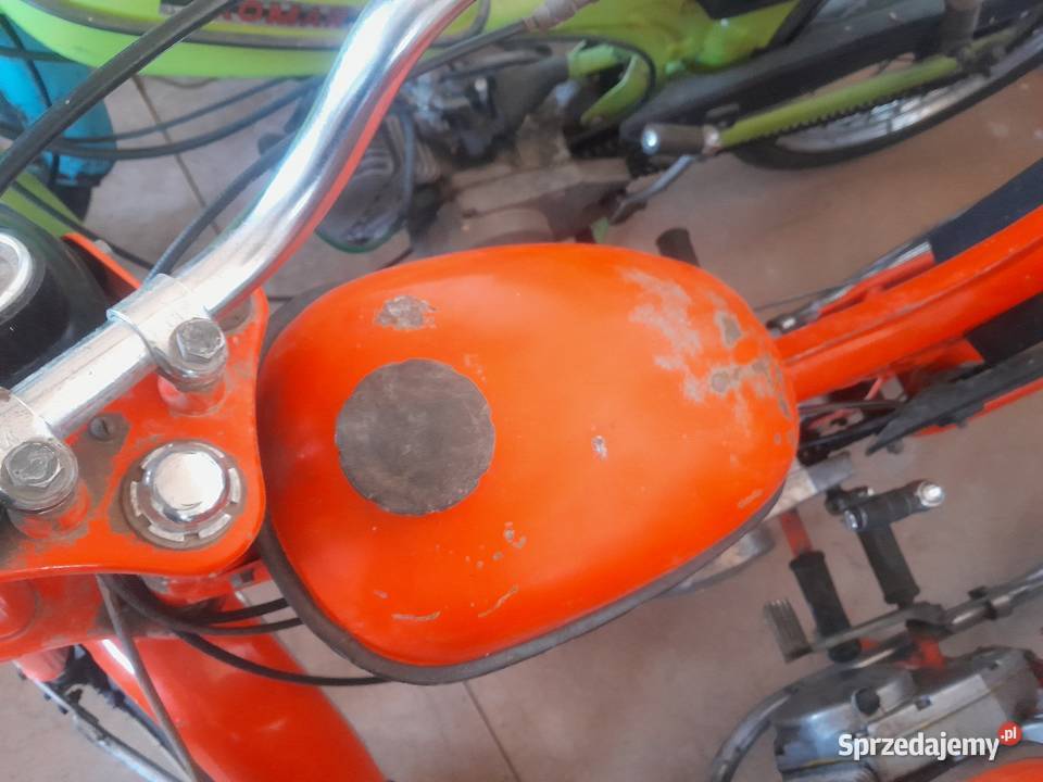 Komar 2352W export w oryginale Komar świętokrzyskie Mirzec