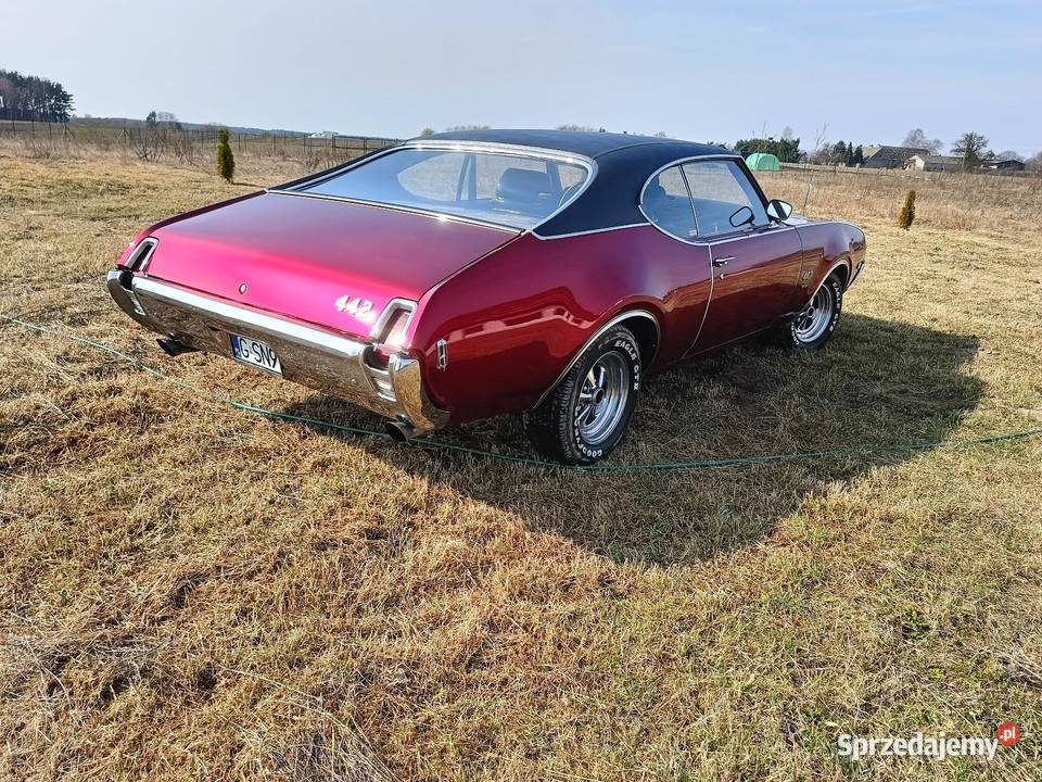 Oldsmobile 442 Pozostałe pomorskie Sucumin