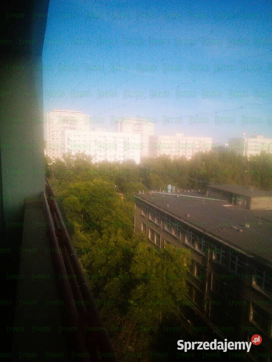 Siatka na balkon przeciw gołębiom z montażem