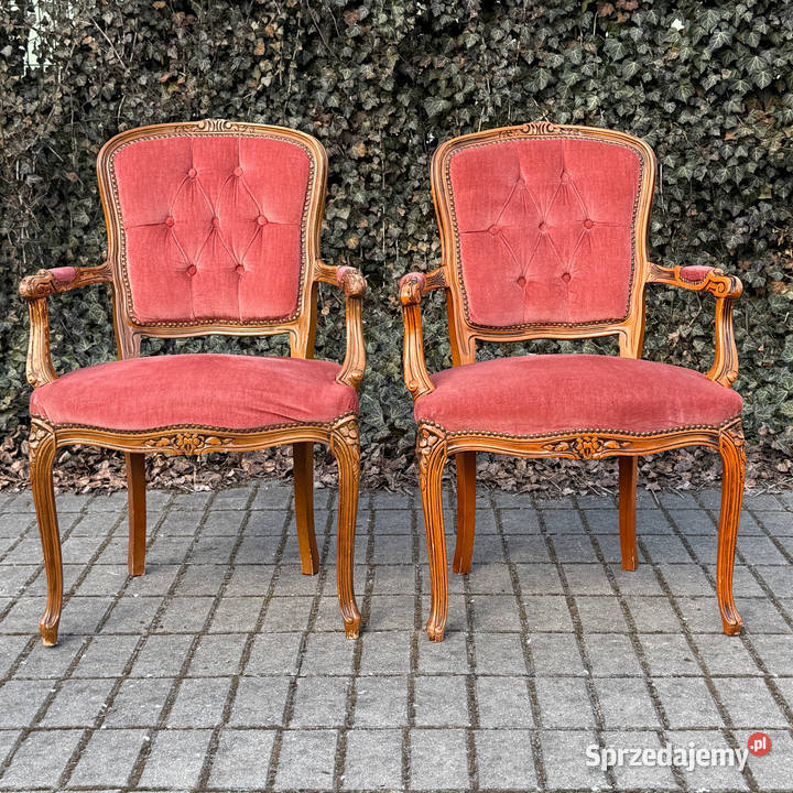 ARTexpert Para foteli Ludwik fotel siedzisko zachodniopomorskie Dobrzany