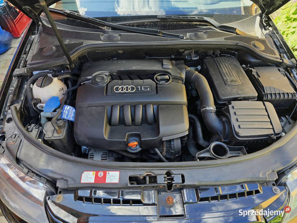 Audi A3 2007r 16 Mpi 216 Alu 16 Niemcy 5D przyciemniane szyby