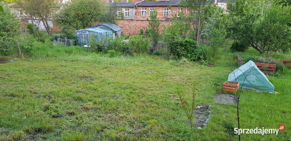 Odstąpię działkę ogrodową ROD Gdańsk Chełm polna