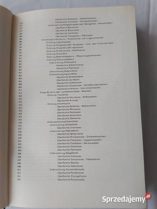 URANIA TIERREICH Protozoa bis Echiurida twarda z obwolutą Hajnówka