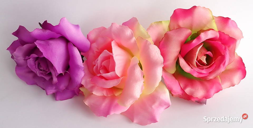 Róże rozwinięte różne kolory 1 śred 13 F004 śląskie Siewierz