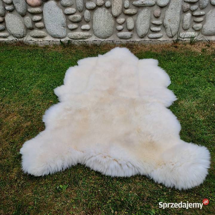Skóra Niedźwiedź XXXL Dywan Skóra Owcza Szaflary