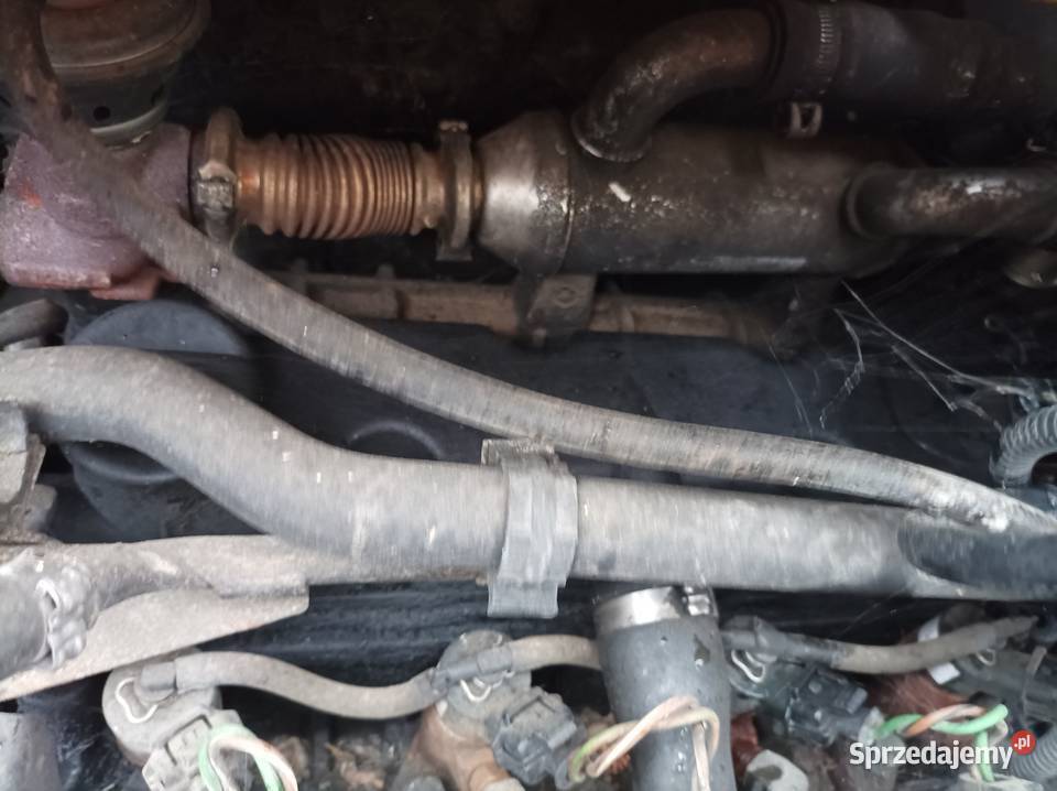 Citroen Jumper Boxer Ducato czesci dostawcze Lublin