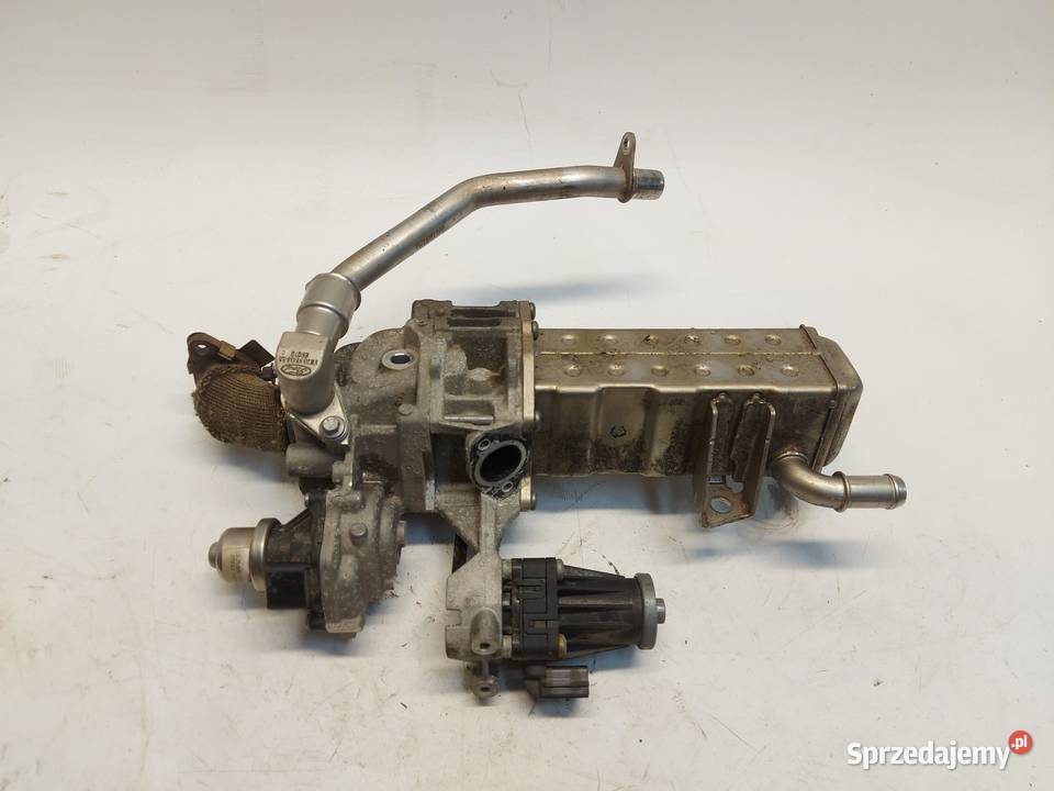 Ford Ranger VI 6 2024r CHŁODNICA CHŁODNICZKA