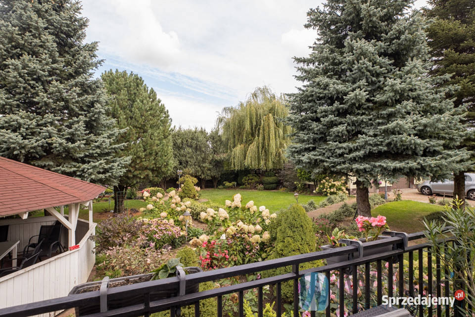 Dom wolnostojący 220m2 Warszawa Zdziarska Liczba pokoi 7 sprzedam