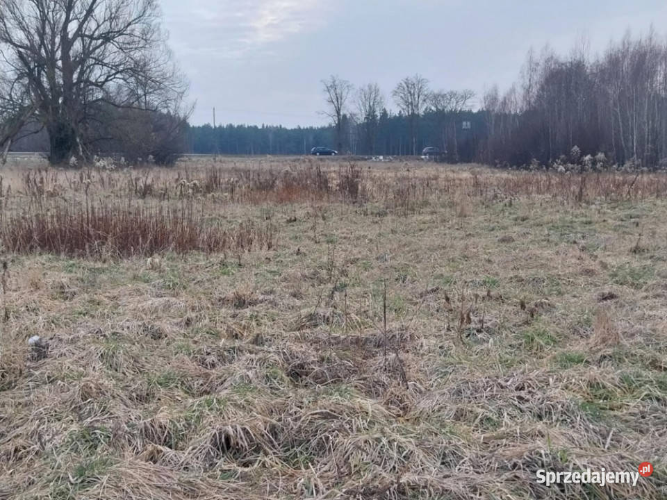 Grunt Rolny na sprzedaż Marysin gm Kałuszyn