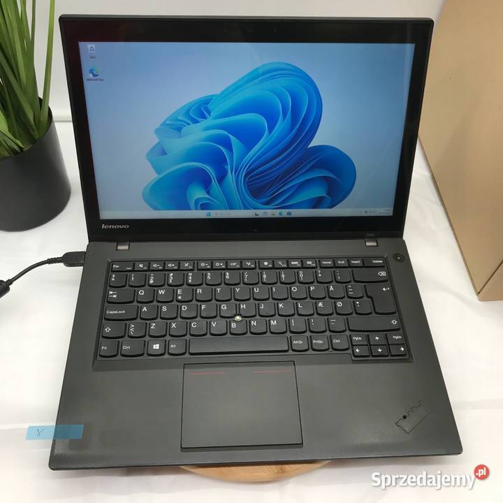 Duża Partia Laptopów na Sprzedaż Lubin