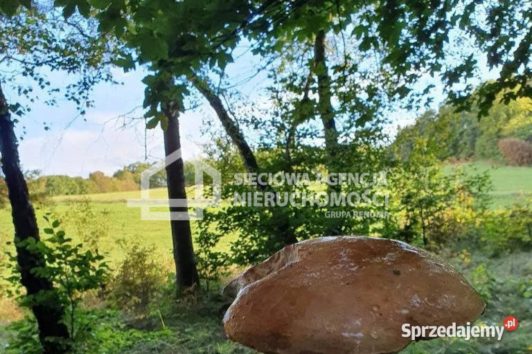 sprzedaży działki Jodłowno 1224m2