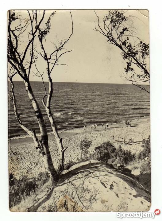 POBIEROWO POCZTÓWKA CZARNO BIAŁA Krynki