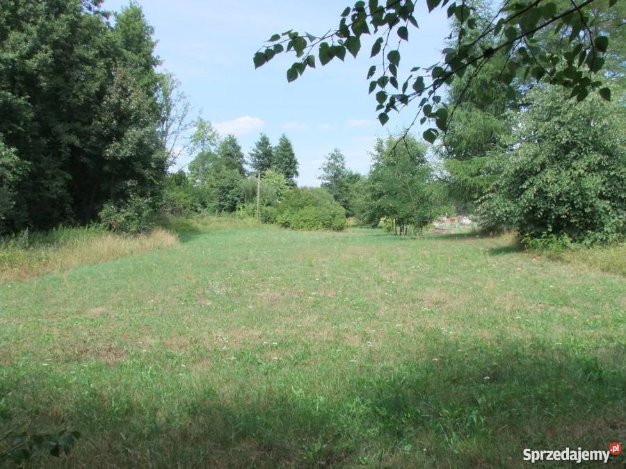 Piękna działka we wsi Kosyń gmina Wola Uhruska Grunty i działki