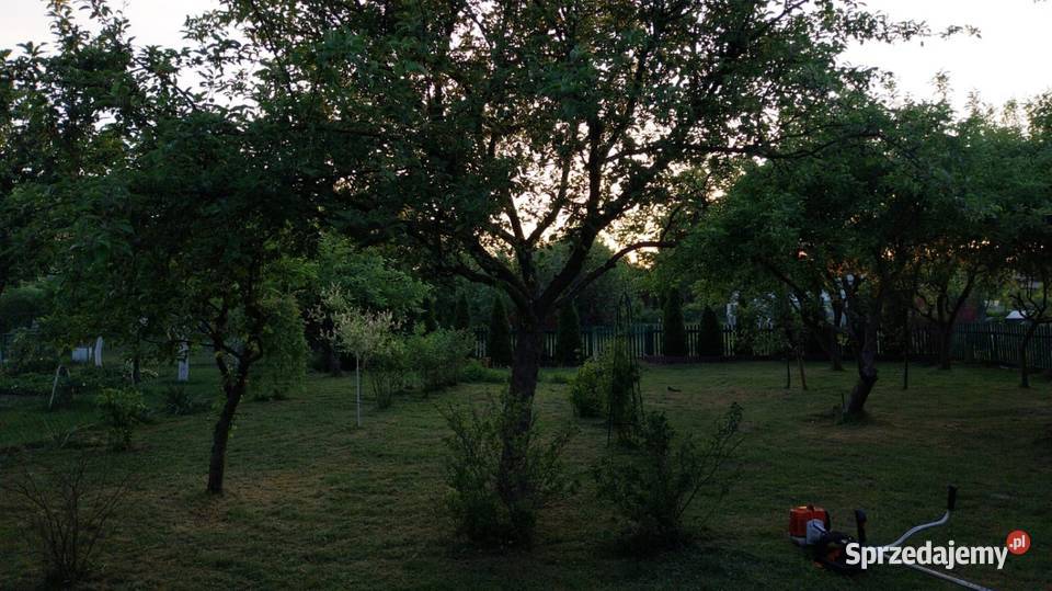 Kompleksowe usługi ogrodnicze prace porządkowe Legionowo