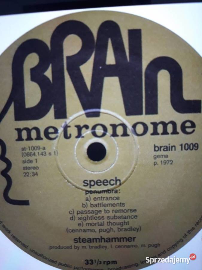 Archiwum blues rocka STEAMHAMMER Speech 1972 Płyty i kasety podkarpackie Rzeszów