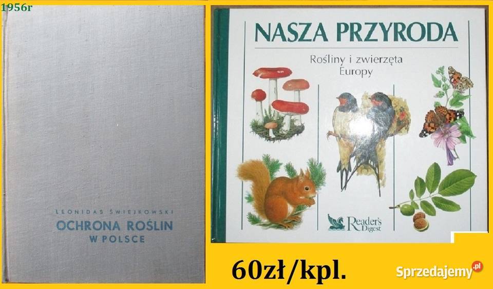 Kwitnący ogród ogród uprawa kwiaty rosliny