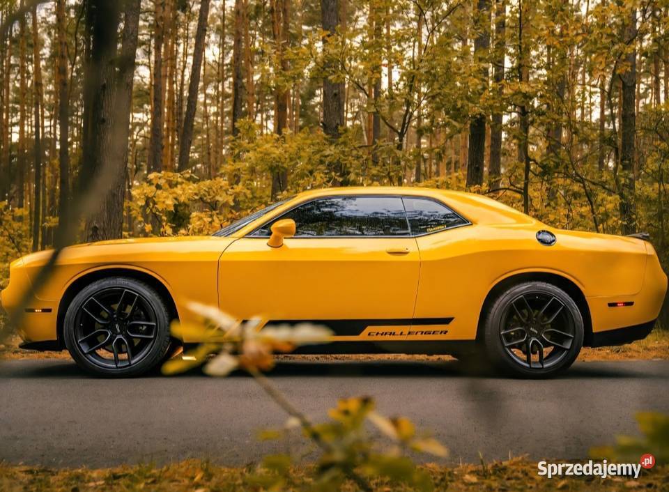 Dodge Challenger 36 stan