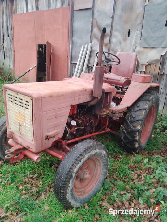 Władimir Zaczep dolny Bukowa