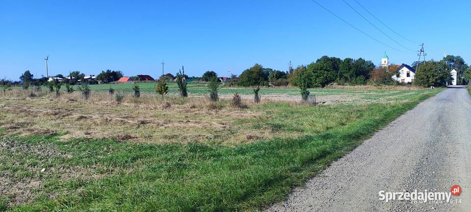 Działka rolna 17 ar Taczalin gm Legnicjie Pole 15zł/m2