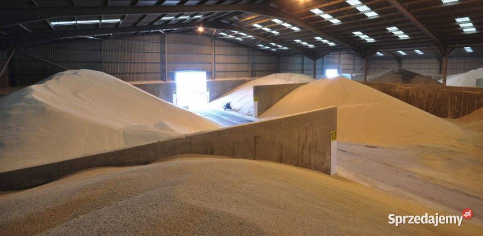 QUICKPHOS Tablets 56 GE a1 na KRETY Szkodniki Nawozy i preparaty Proszowice