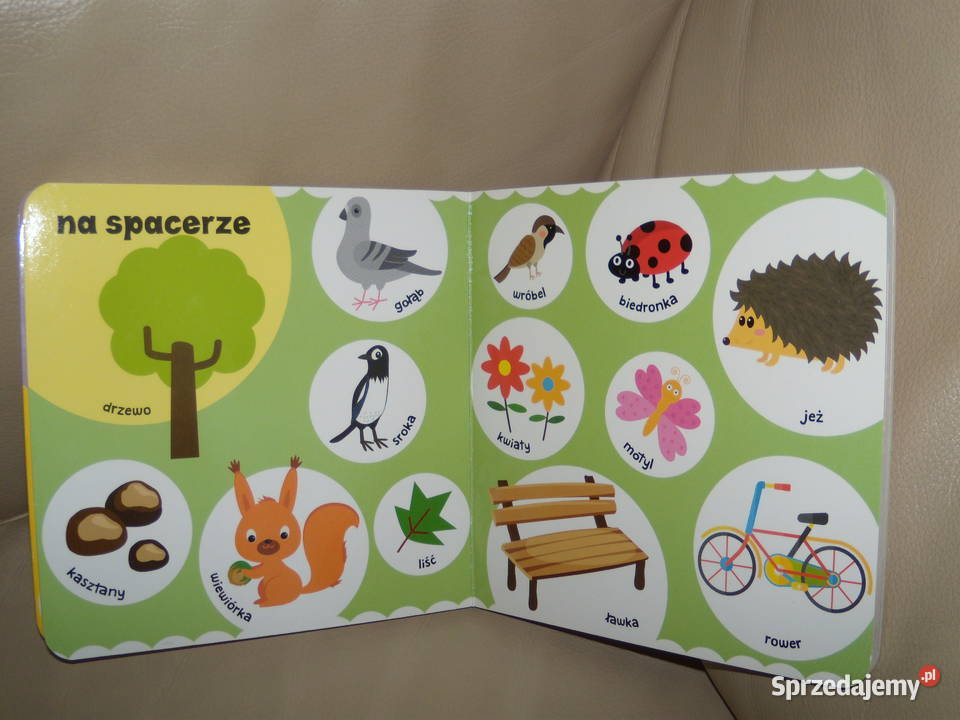 Pierwsze 100 słów Książki dla dzieci Warszawa