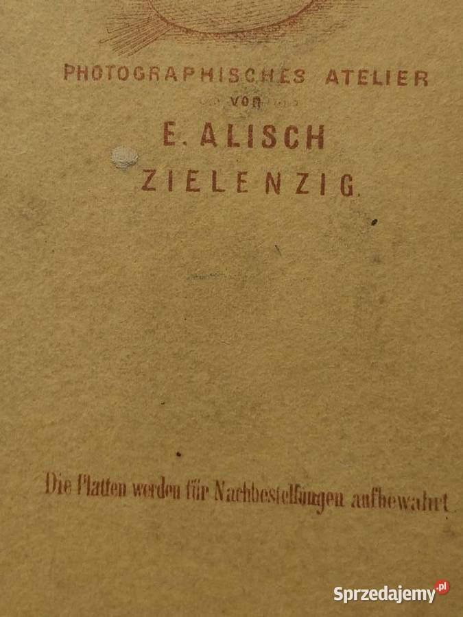1242 SULĘCIN Niemieckie Zdjęcie Kartonikowe Szczecin sprzedam