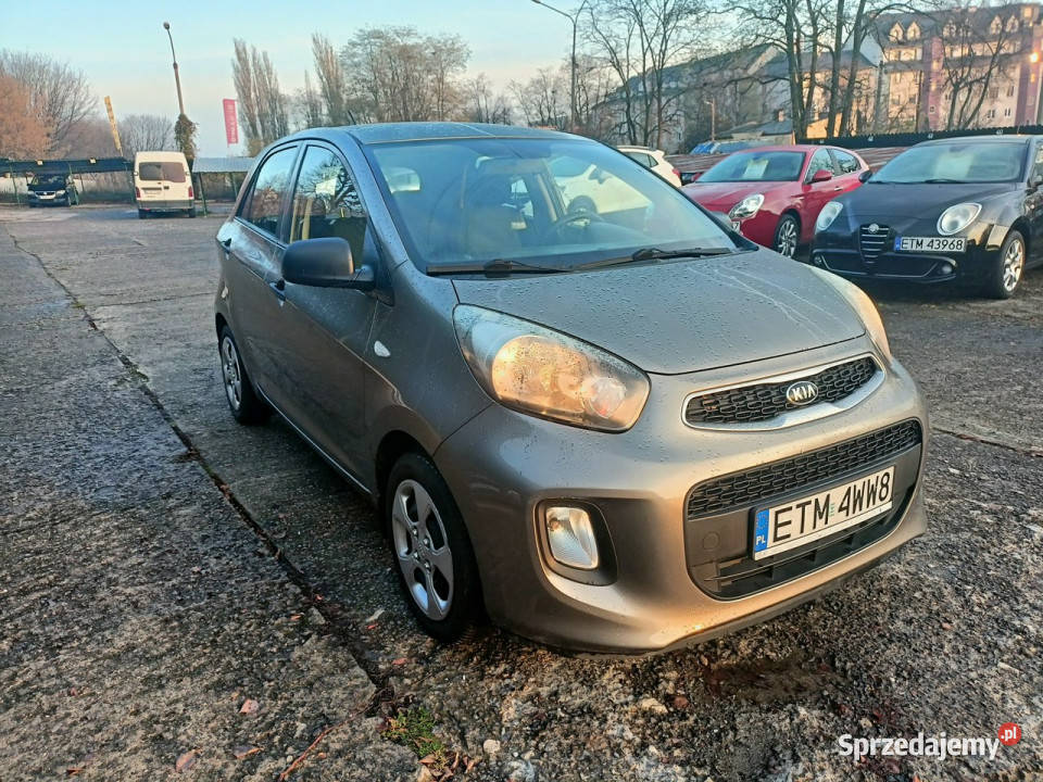 Kia Picanto Polski Salon zadbane serwisowane II łódzkie Tomaszów Mazowiecki