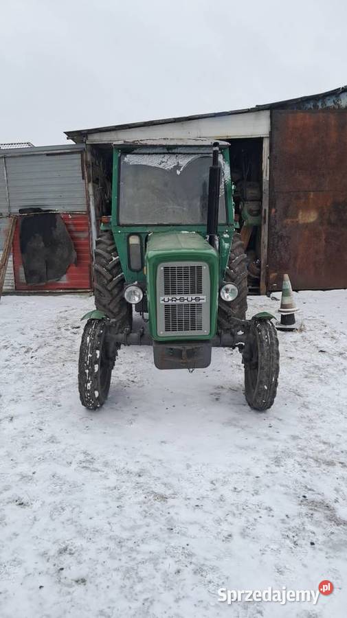 Rolnictwo Ursus dolnośląskie Cielętniki
