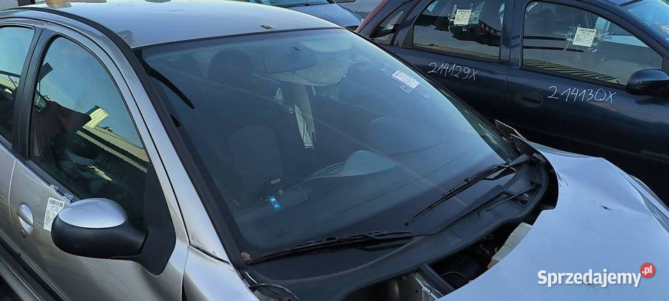 SZYBA PRZÓD PEUGEOT 206 osobowe kujawsko-pomorskie