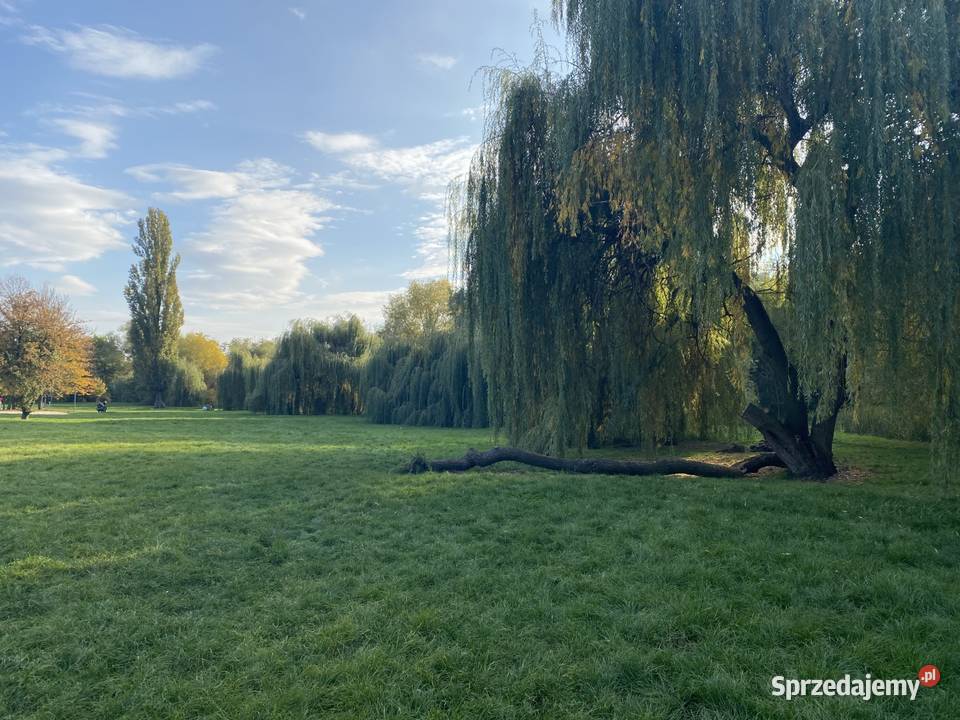 1pok 30met Niskich Łąk PIWNICAINWESTYCJA Wrocław sprzedam