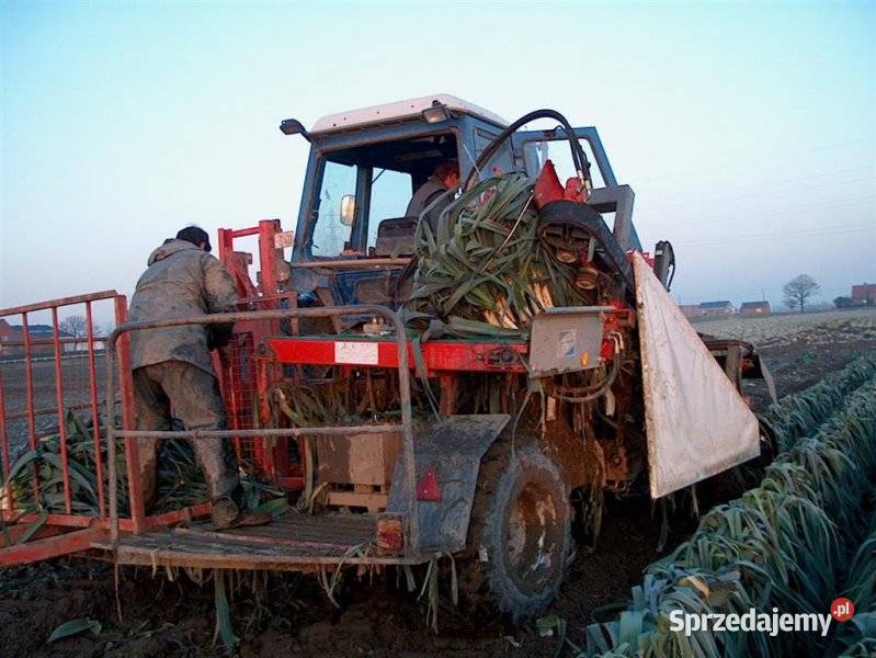Kombajn do zbioru pora standardowy produkcja lubelskie Lublin sprzedam
