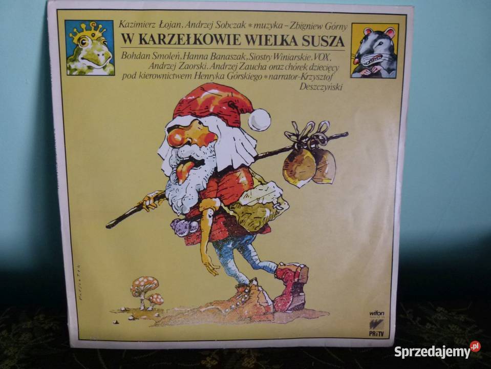 Płyty winylowe używane zabytek old school Zamość