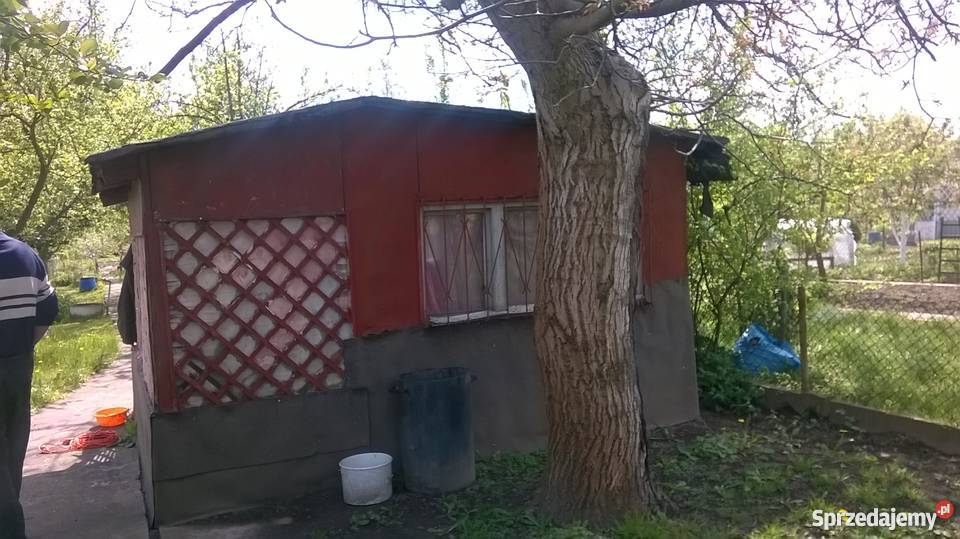 Działka rekreacyjna ROD Przybyszewskiego 460m2 Toruń