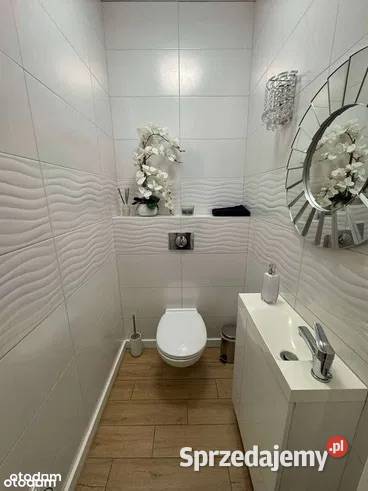 Dom jednorodzinny ze stawem na dużej działce Skoki sprzedam